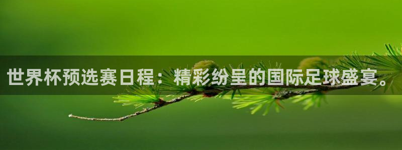世界杯预选赛欧洲赛区积分榜：世界杯预选赛日程：精彩纷呈的国际足球盛宴。
