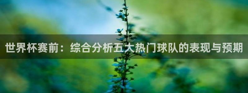 世界杯在线直播入口：世界杯赛前：综合分析五大热门球队的表现与预期