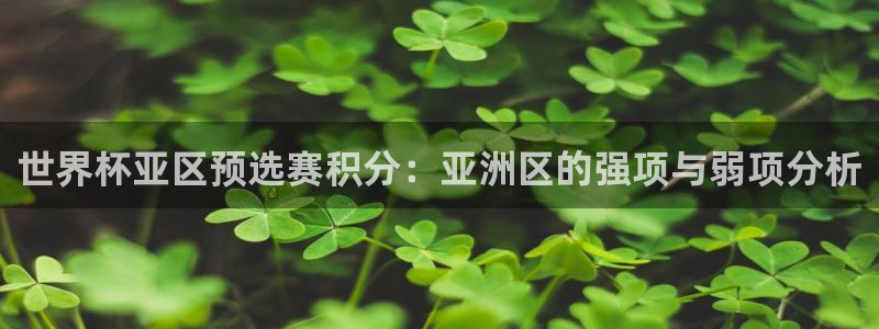 世界杯对阵图2026:世界杯亚区预选赛积分:亚洲区的强项与弱项分析