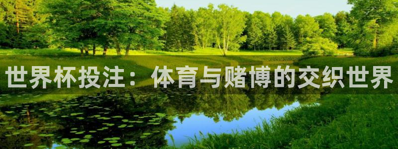 世界杯2026赛制：世界杯投注：体育与赌博的交织世界