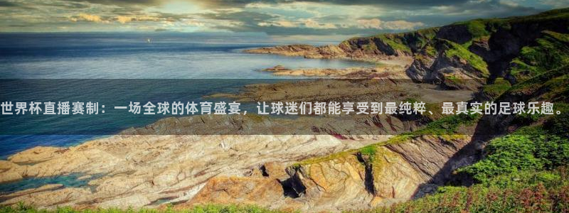 世界杯足球比赛：世界杯直播赛制：一场全球的体育盛宴，让球迷们都能享受到最纯粹、最真实的足球乐趣。