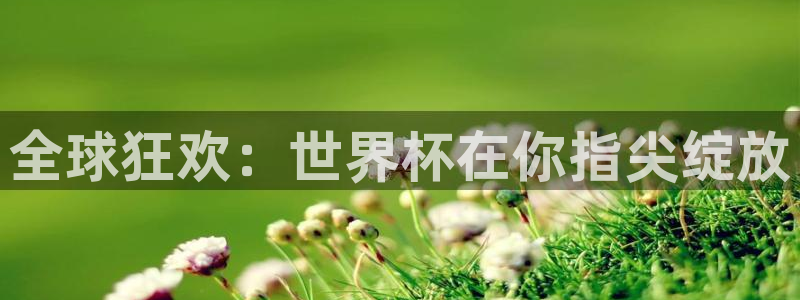 2026世预赛赛程：全球狂欢：世界杯在你指尖绽放