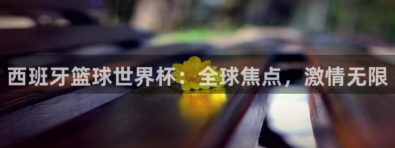 世界杯比赛直播：西班牙篮球世界杯：全球焦点，激情无限