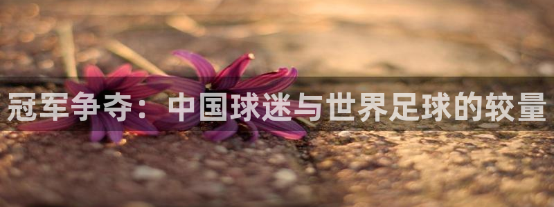 2026世界杯买球：冠军争夺：中国球迷与世界足球的较量