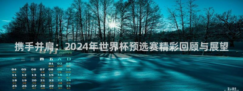 2026世预赛赛程表：携手并肩：2024年世界杯预选赛精彩回顾与展望