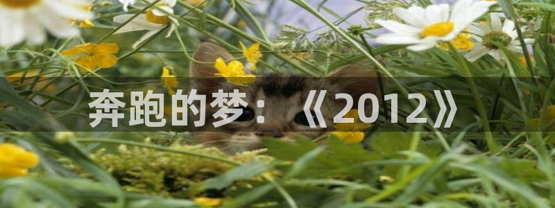 世界杯足球直播：奔跑的梦：《2012》