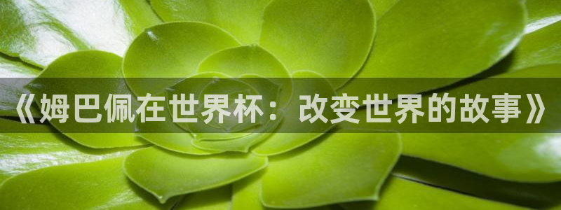 世界杯小组赛赛程：《姆巴佩在世界杯：改变世界的故事》
