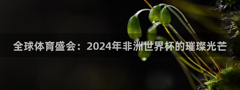 2026世界杯亚洲预选赛：全球体育盛会：2024年非洲世界杯的璀璨光芒