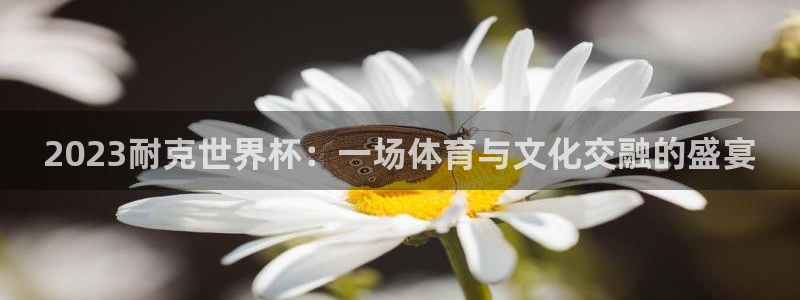澳门世界杯直播：2023耐克世界杯：一场体育与文化交融的盛宴