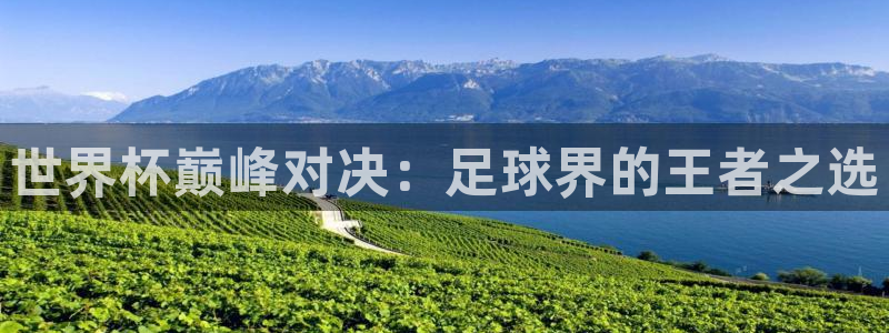 世界杯欧洲预选赛：世界杯巅峰对决：足球界的王者之选