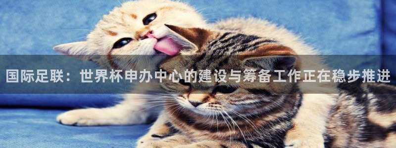免费足球比赛直播高清：国际足联：世界杯申办中心的建设与筹备工作正在稳步推进