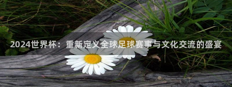 2026足球世界杯赛程时间表：2024世界杯：重新定义全球足球赛事与文化交流的盛宴